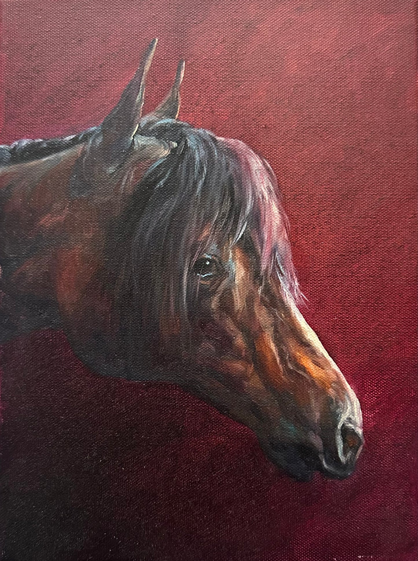 Oil Painting - Horse