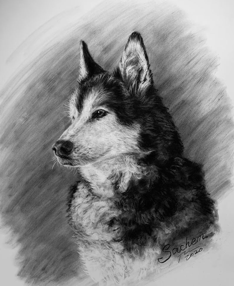 Hand-drawn Custom Portrait