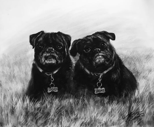 Multiple Pets in a Drawing